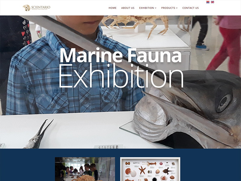 Scientario - Education